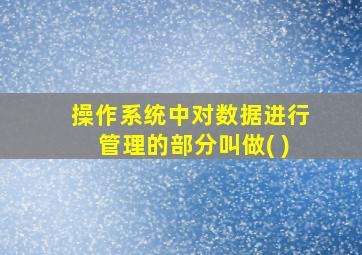 操作系统中对数据进行管理的部分叫做( )